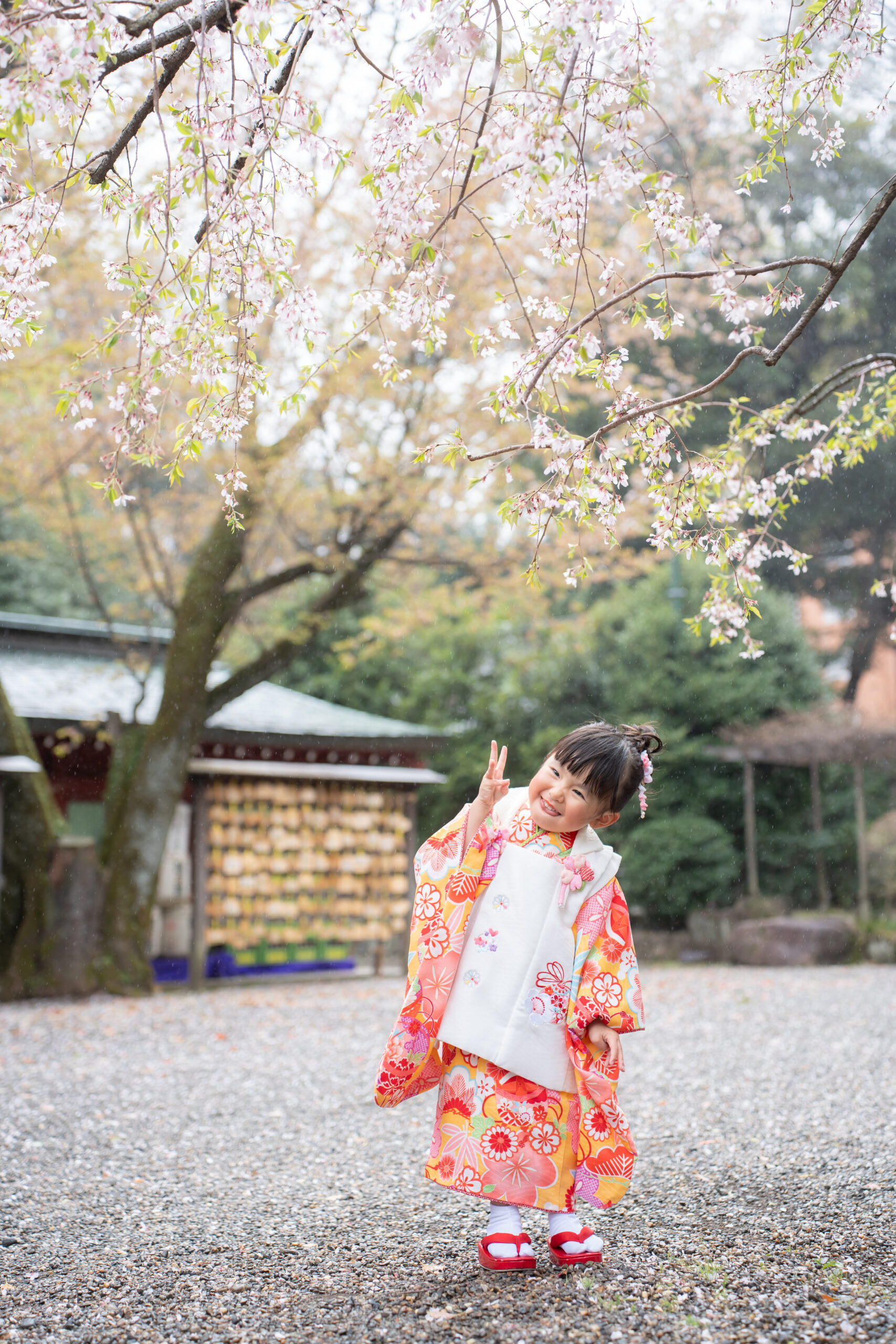 庄司 真未